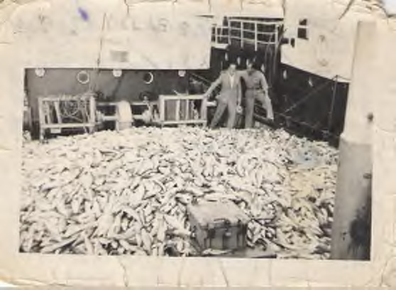 Estudios sobre la inmigración española en el sur de Brasil