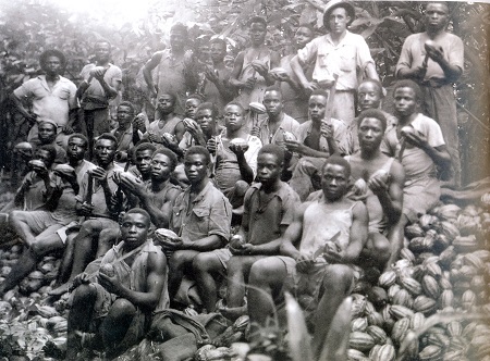 Recolección del cacao en Guinea Ecuatorial